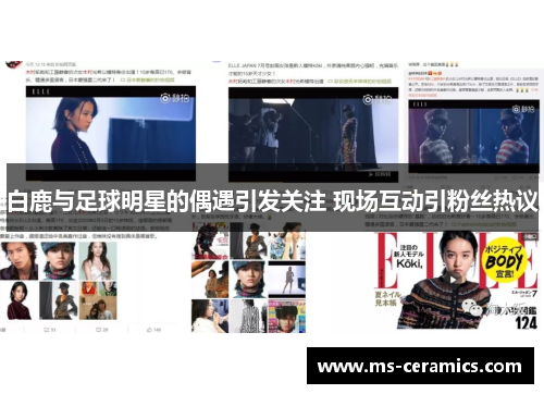 白鹿与足球明星的偶遇引发关注 现场互动引粉丝热议
