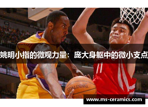 姚明小指的微观力量：庞大身躯中的微小支点