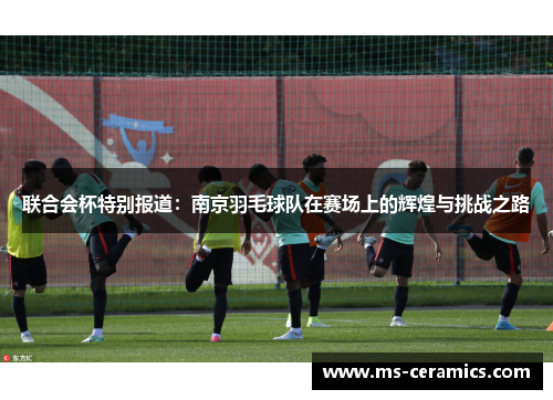 联合会杯特别报道：南京羽毛球队在赛场上的辉煌与挑战之路
